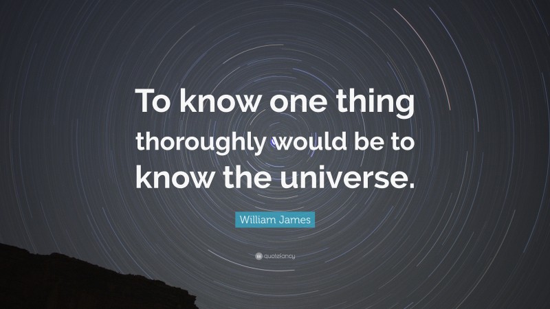 William James Quote: “To know one thing thoroughly would be to know the universe.”