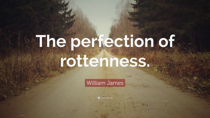 William James Quote: “The perfection of rottenness.”