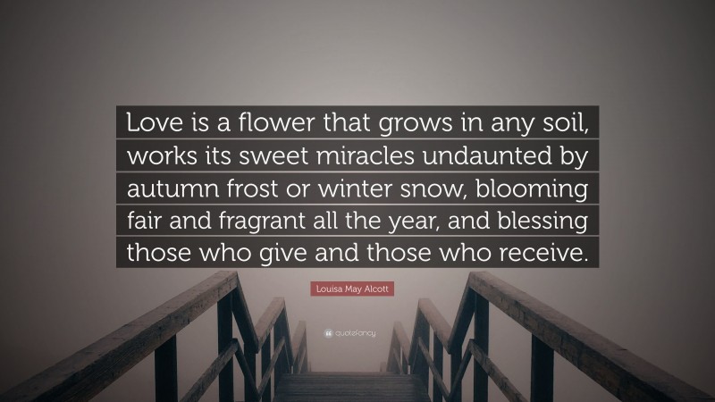 Louisa May Alcott Quote: “Love is a flower that grows in any soil, works its sweet miracles undaunted by autumn frost or winter snow, blooming fair and fragrant all the year, and blessing those who give and those who receive.”