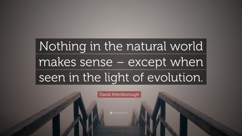 David Attenborough Quote: “Nothing in the natural world makes sense – except when seen in the light of evolution.”