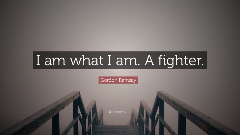 Gordon Ramsay Quote: “I am what I am. A fighter.”