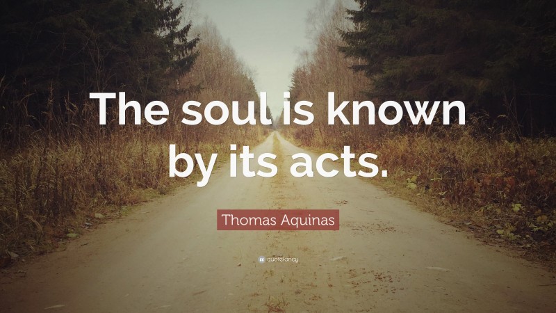 Thomas Aquinas Quote: “The soul is known by its acts.”