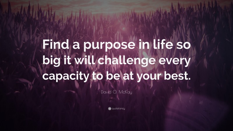 David O. McKay Quote: “Find a purpose in life so big it will challenge every capacity to be at your best.”
