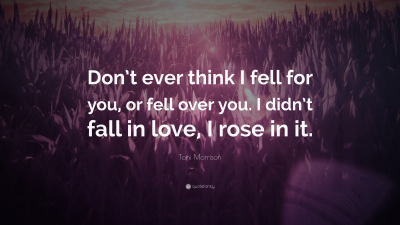 Toni Morrison Quote: “Don’t ever think I fell for you, or fell over you. I didn’t fall in love, I rose in it.”
