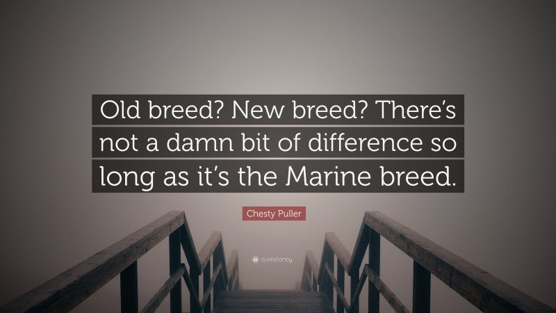 Chesty Puller Quote: “Old breed? New breed? There’s not a damn bit of difference so long as it’s the Marine breed.”