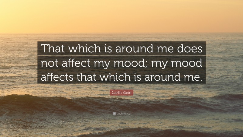 Garth Stein Quote: “That which is around me does not affect my mood; my mood affects that which is around me.”