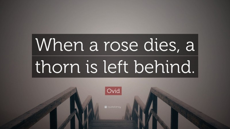 Ovid Quote: “When a rose dies, a thorn is left behind.”