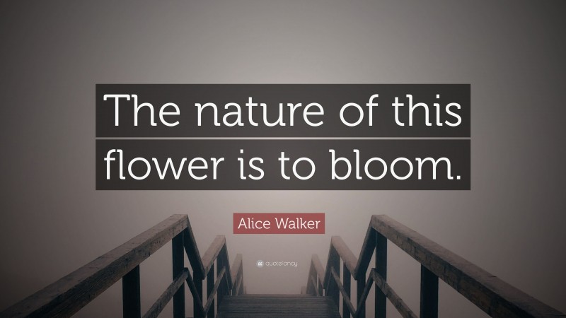 Alice Walker Quote: “The nature of this flower is to bloom.”