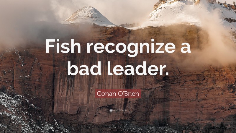 Conan O'Brien Quote: “Fish recognize a bad leader.”