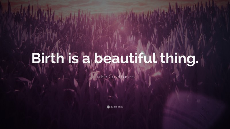 Julian Casablancas Quote: “Birth is a beautiful thing.”