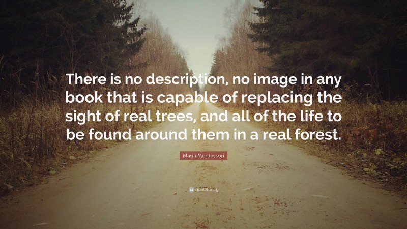 Maria Montessori Quote: “There is no description, no image in any book that is capable of replacing the sight of real trees, and all of the life to be found around them in a real forest.”