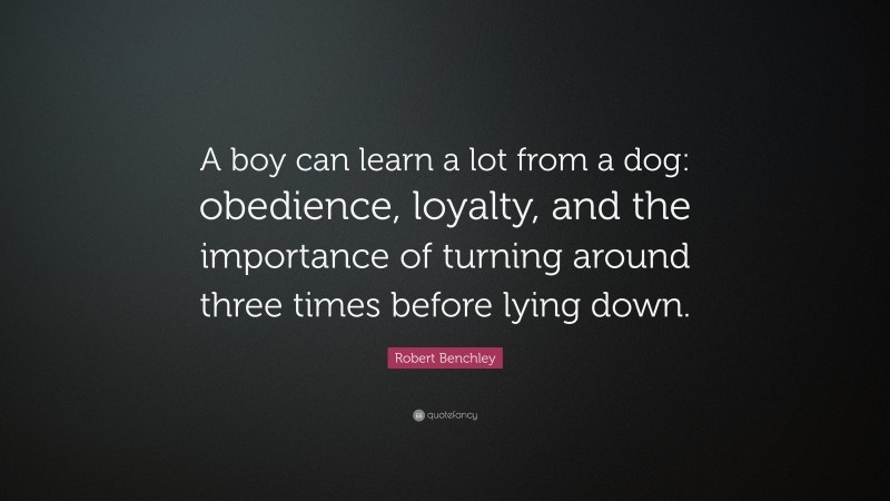 Robert Benchley Quote: “A boy can learn a lot from a dog: obedience, loyalty, and the importance of turning around three times before lying down.”