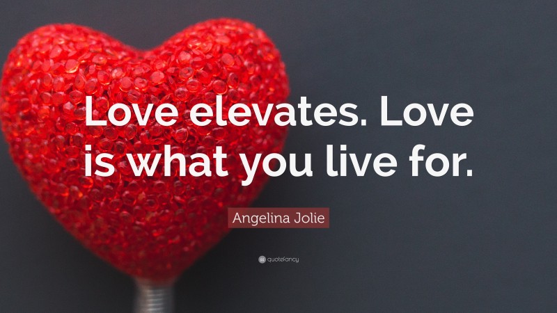 Angelina Jolie Quote: “Love elevates. Love is what you live for.”