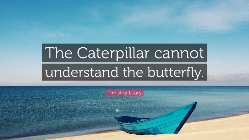 Timothy Leary Quote: “The Caterpillar cannot understand the butterfly.”