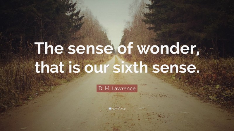 D. H. Lawrence Quote: “The sense of wonder, that is our sixth sense.”