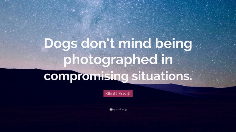 Elliott Erwitt Quote: “Dogs don’t mind being photographed in compromising situations.”