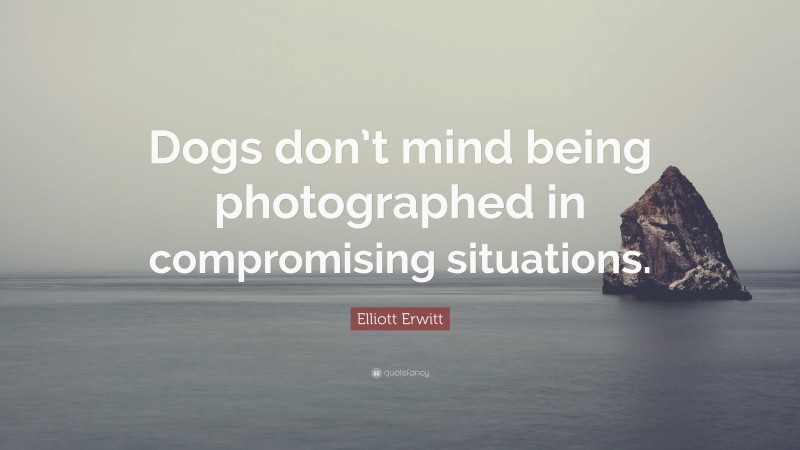 Elliott Erwitt Quote: “Dogs don’t mind being photographed in compromising situations.”