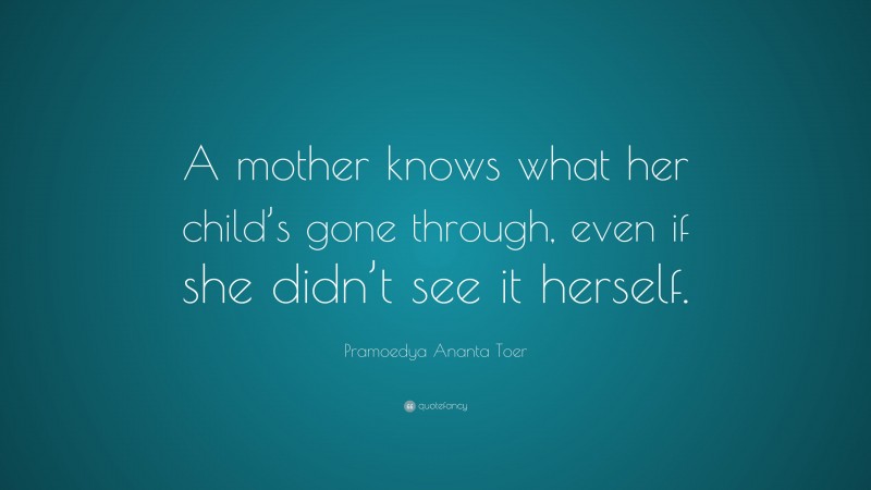 Pramoedya Ananta Toer Quote: “A mother knows what her child’s gone through, even if she didn’t see it herself.”