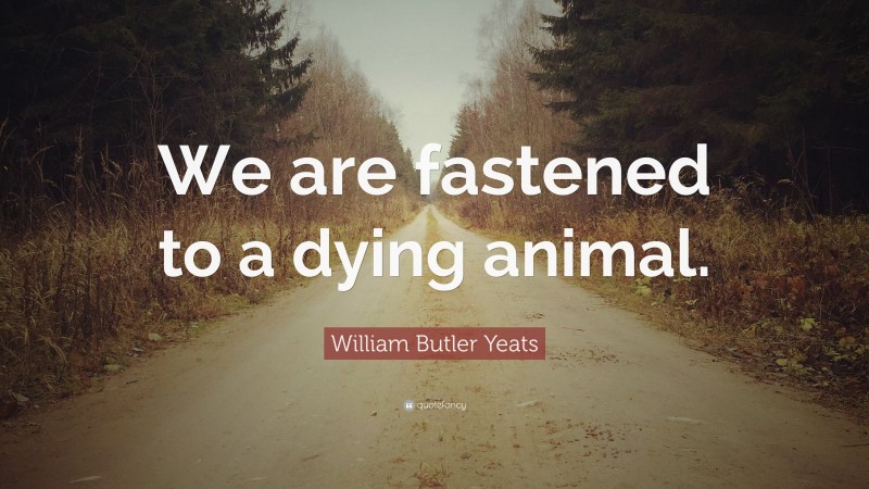 William Butler Yeats Quote: “We are fastened to a dying animal.”