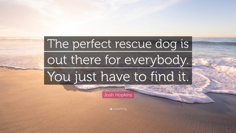 Josh Hopkins Quote: “The perfect rescue dog is out there for everybody. You just have to find it.”