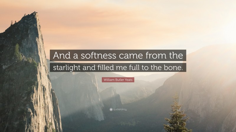 William Butler Yeats Quote: “And a softness came from the starlight and filled me full to the bone.”