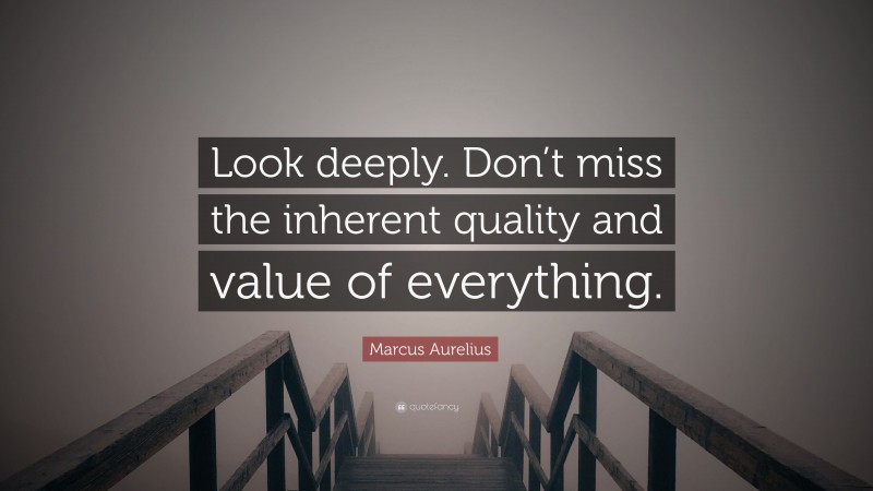 Marcus Aurelius Quote: “Look deeply. Don’t miss the inherent quality and value of everything.”