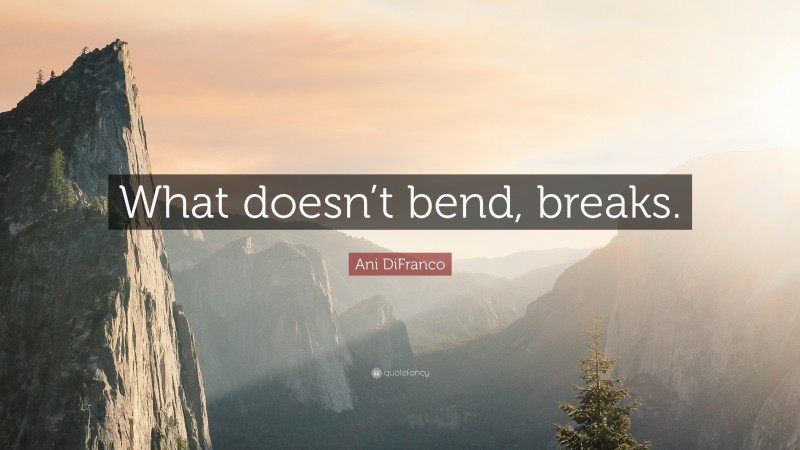 Ani DiFranco Quote: “What doesn’t bend, breaks.”