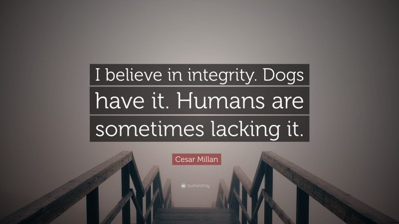 Cesar Millan Quote: “I believe in integrity. Dogs have it. Humans are sometimes lacking it.”