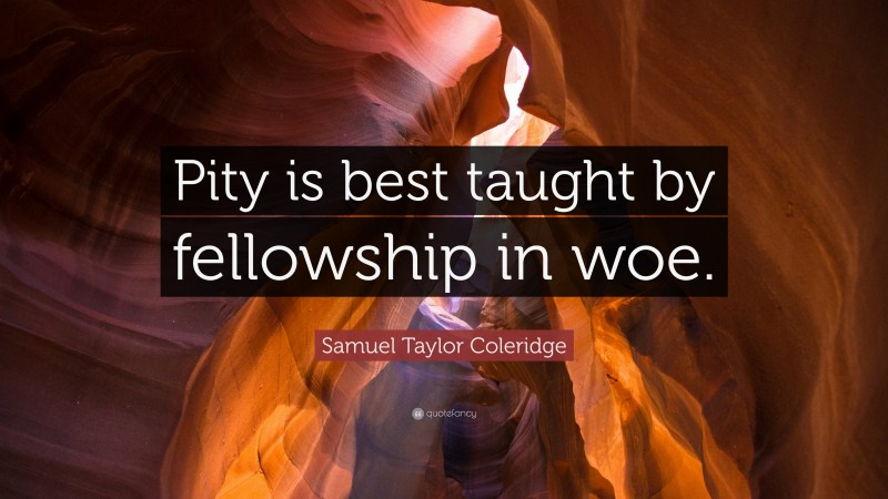 Samuel Taylor Coleridge Quote: “Pity is best taught by fellowship in woe.”