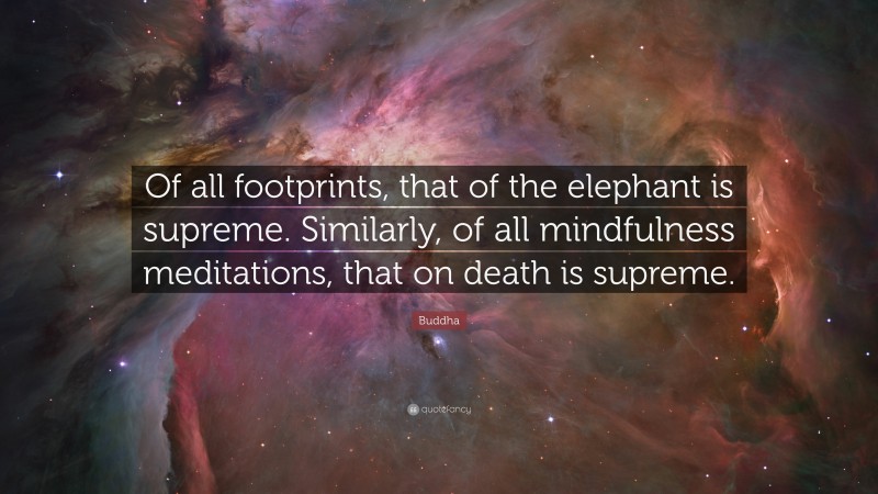 Buddha Quote: “Of all footprints, that of the elephant is supreme. Similarly, of all mindfulness meditations, that on death is supreme.”