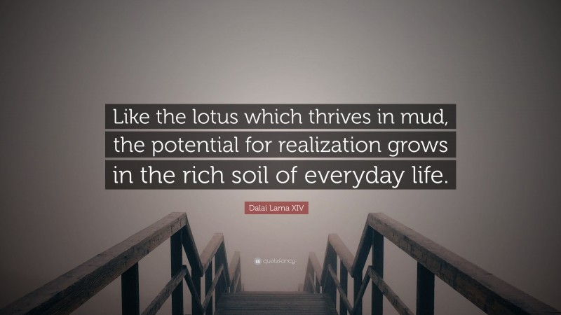 Dalai Lama XIV Quote: “Like the lotus which thrives in mud, the potential for realization grows in the rich soil of everyday life.”