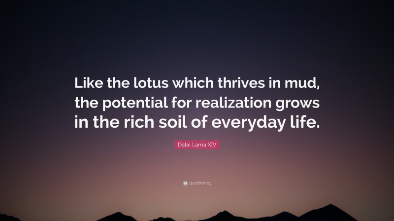Dalai Lama XIV Quote: “Like the lotus which thrives in mud, the potential for realization grows in the rich soil of everyday life.”