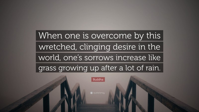 Buddha Quote: “When one is overcome by this wretched, clinging desire in the world, one’s sorrows increase like grass growing up after a lot of rain.”