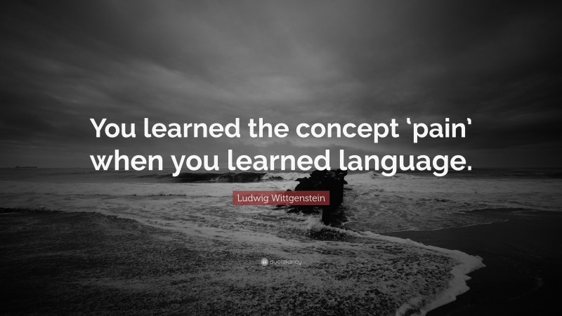 Ludwig Wittgenstein Quote: “You learned the concept ‘pain’ when you learned language.”