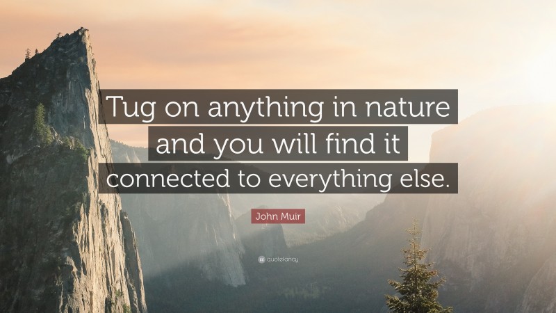 John Muir Quote: “Tug on anything in nature and you will find it connected to everything else.”