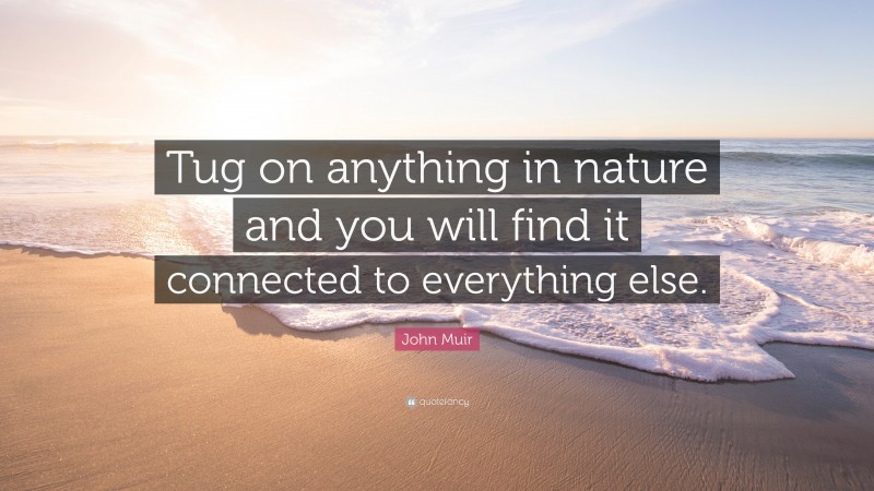 John Muir Quote: “Tug on anything in nature and you will find it connected to everything else.”