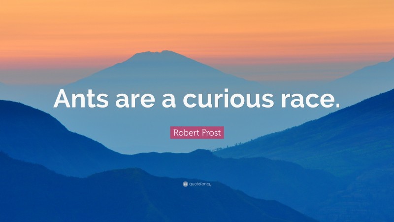 Robert Frost Quote: “Ants are a curious race.”