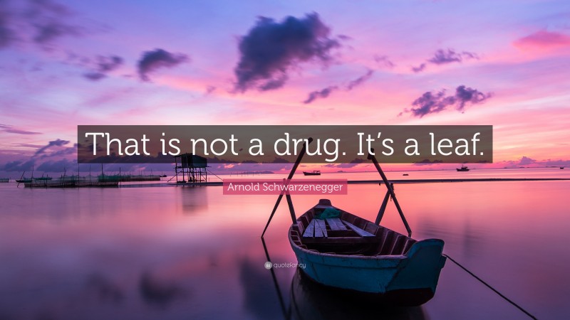 Arnold Schwarzenegger Quote: “That is not a drug. It’s a leaf.”