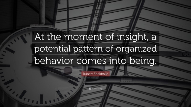 Rupert Sheldrake Quote: “At the moment of insight, a potential pattern of organized behavior comes into being.”