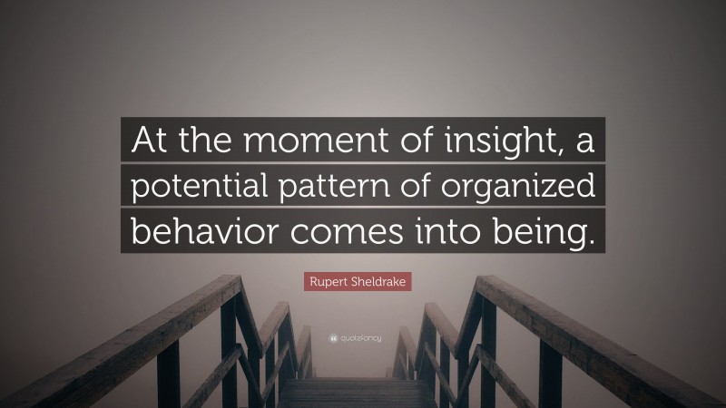 Rupert Sheldrake Quote: “At the moment of insight, a potential pattern of organized behavior comes into being.”