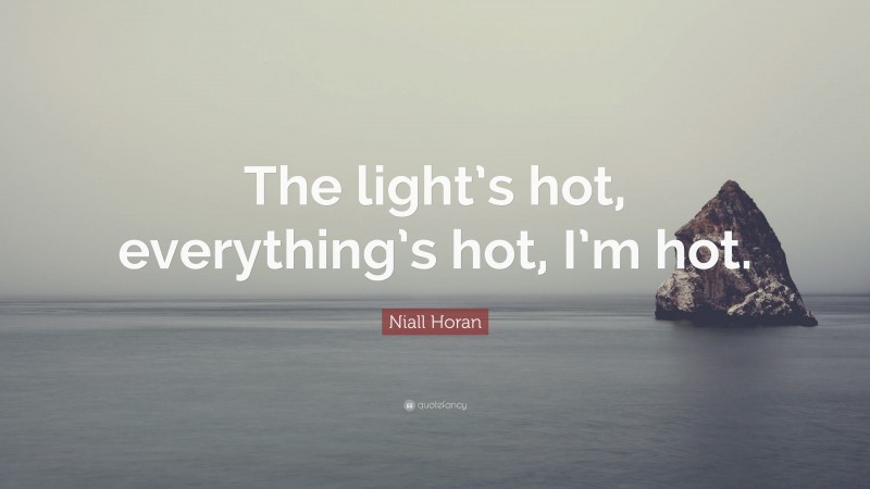 Niall Horan Quote: “The light’s hot, everything’s hot, I’m hot.”