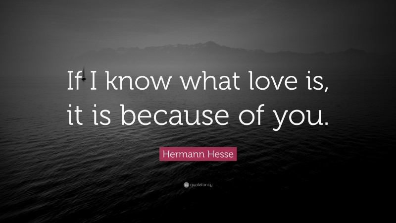 Hermann Hesse Quote: “If I know what love is, it is because of you.”