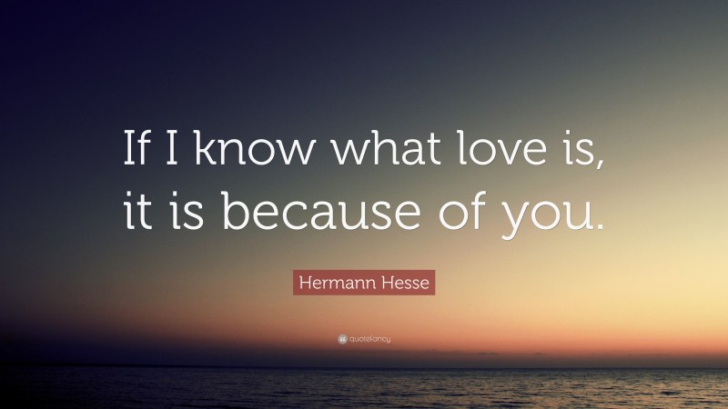 Hermann Hesse Quote: “If I know what love is, it is because of you.”