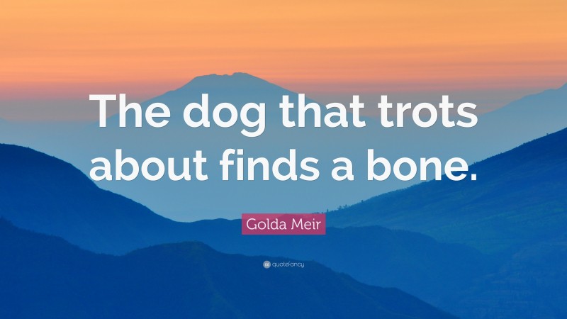 Golda Meir Quote: “The dog that trots about finds a bone.”