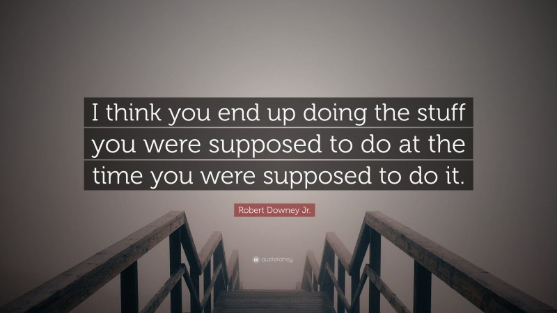 Robert Downey Jr. Quote: “I think you end up doing the stuff you were supposed to do at the time you were supposed to do it.”