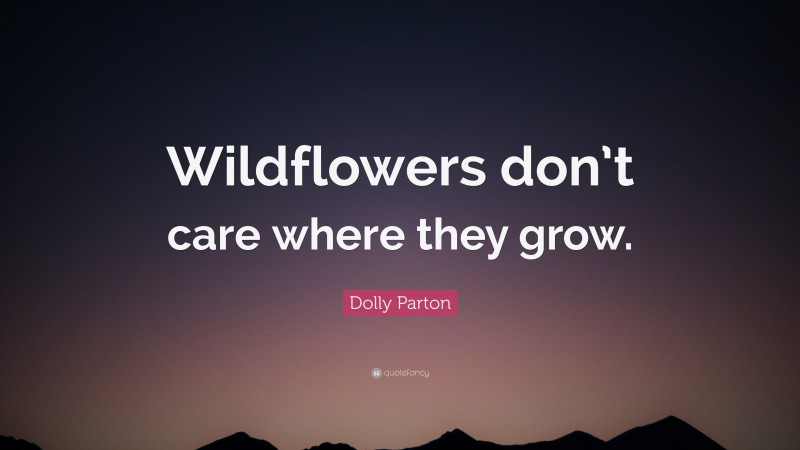 Dolly Parton Quote: “Wildflowers don’t care where they grow.”
