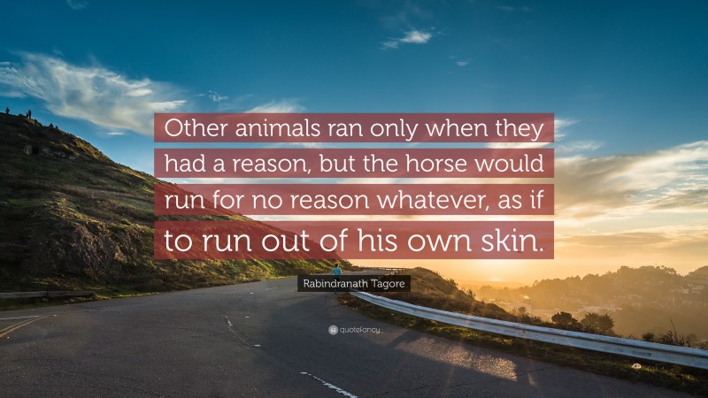 Rabindranath Tagore Quote: “Other animals ran only when they had a reason, but the horse would run for no reason whatever, as if to run out of his own skin.”
