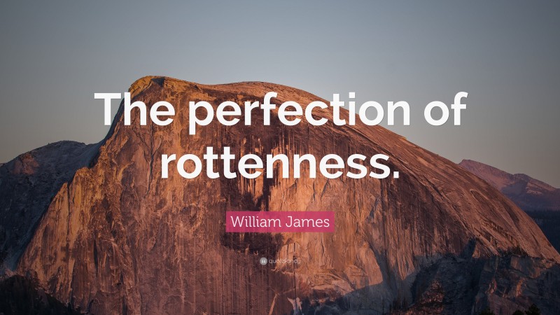 William James Quote: “The perfection of rottenness.”