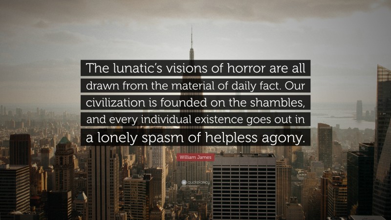 William James Quote: “The lunatic’s visions of horror are all drawn from the material of daily fact. Our civilization is founded on the shambles, and every individual existence goes out in a lonely spasm of helpless agony.”