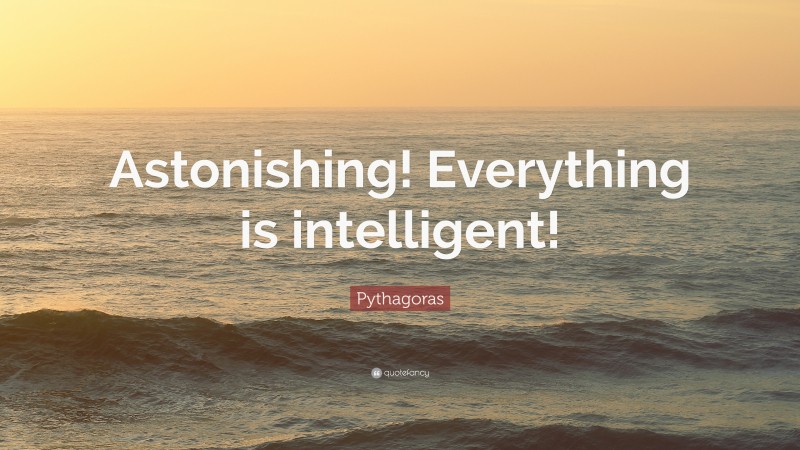 Pythagoras Quote: “Astonishing! Everything is intelligent!”